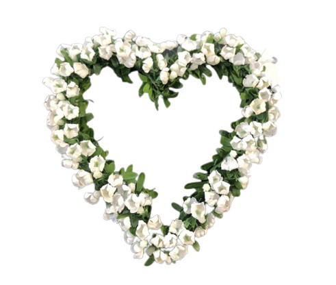Srdce buxus s bílými květy 11x11cm | Dekorace